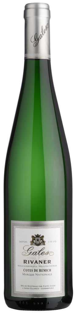 Caves Gales Rivaner
