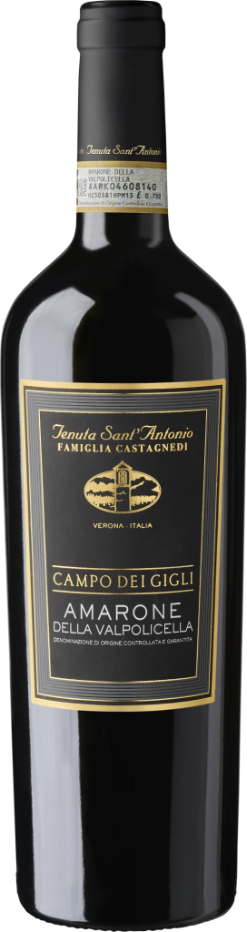 Tenuta Sant’Antonio Amarone della Valpolicella Campo dei Gigli