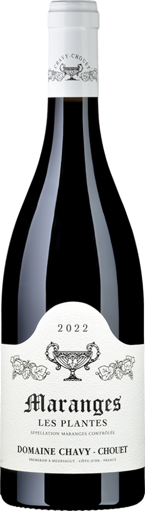 Domaine Chavy-Chouet Maranges Les Plantes