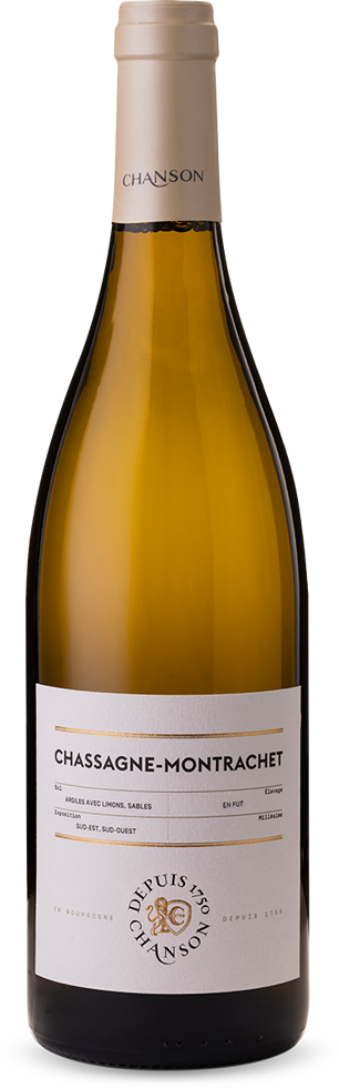 Chassagne-Montrachet A.C. Chanson