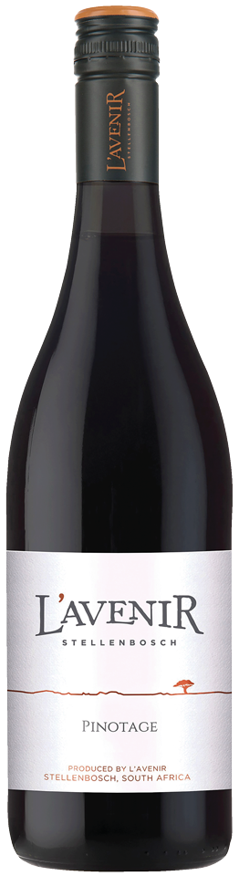 L’Avenir Pinotage (horizon)